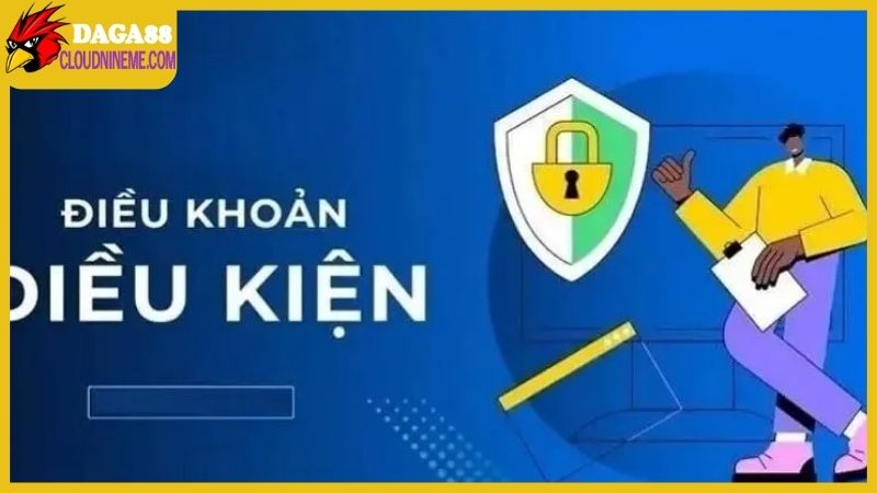 Điều kiện điều khoản trong suốt quá trình sử dụng website