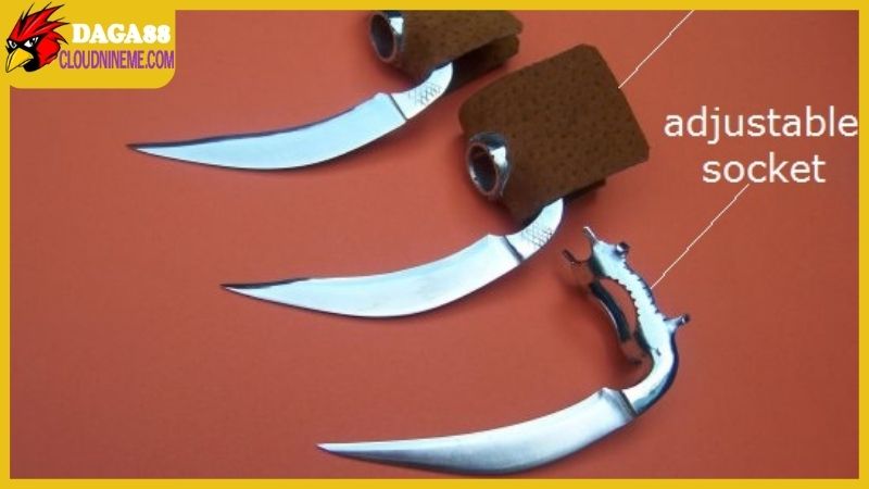 Cách lên cựa gà đá siêu chuẩn, đã ra sân là chỉ có thắng 7 Những lỗi dễ mắc phải trong cách lên cựa gà đá