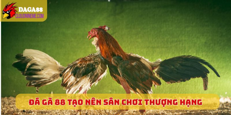 Giới thiệu 4 Thương hiệu Đá Gà 88 tạo nên sân chơi thượng hạng