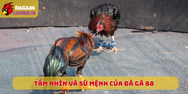Giới thiệu 5 Tầm nhìn chiến lược và sứ mệnh của Đá Gà 88